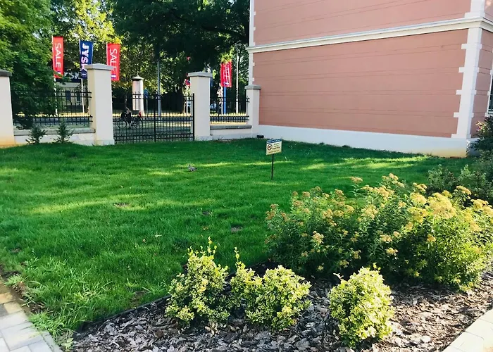 Garden *